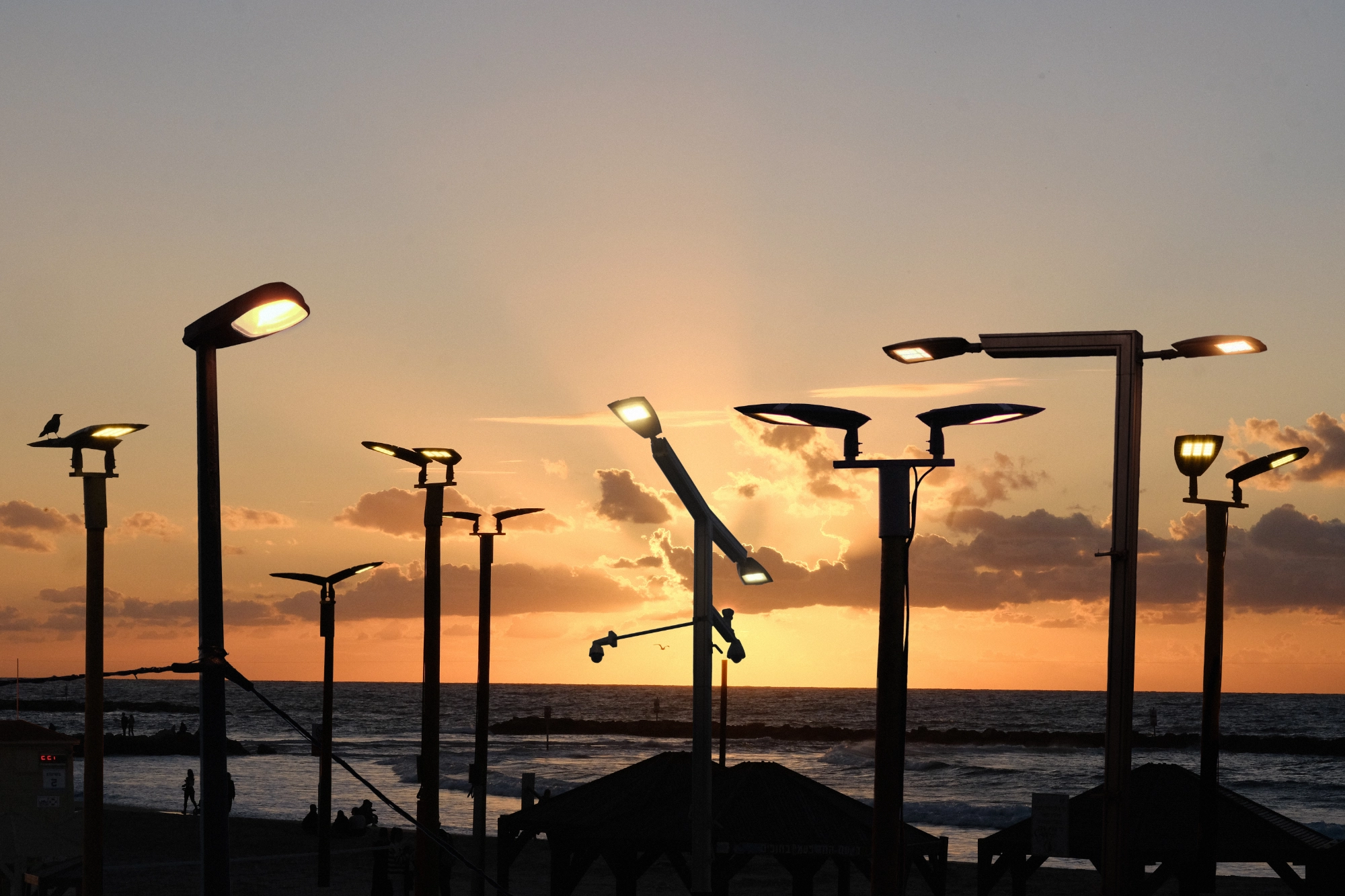 A collage of light poles at sunset near the beach