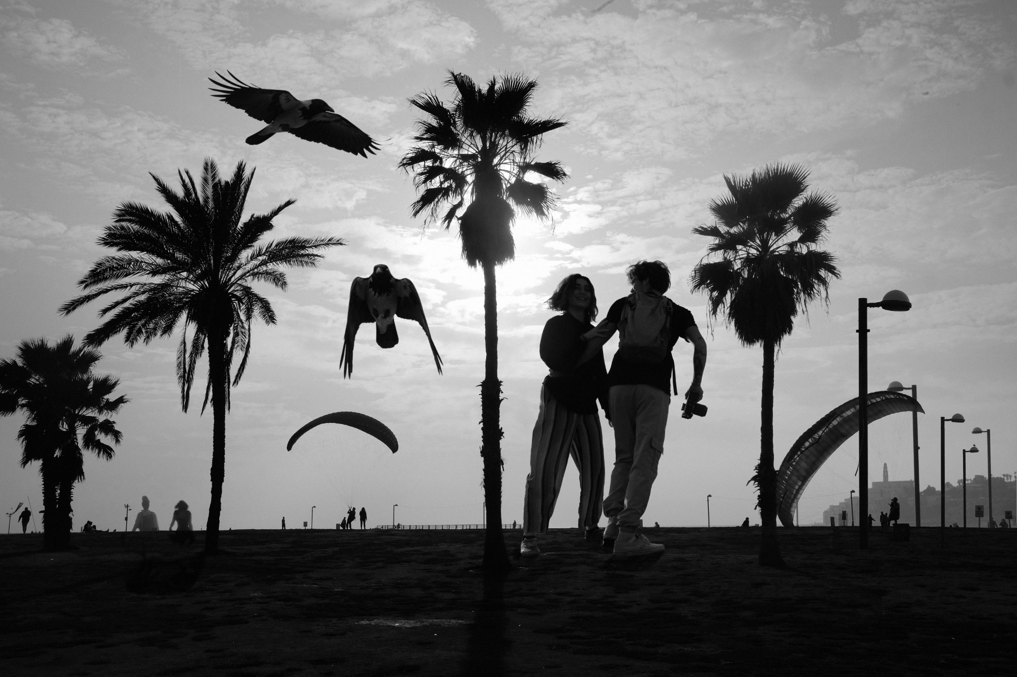 A collage of happenings at the beach