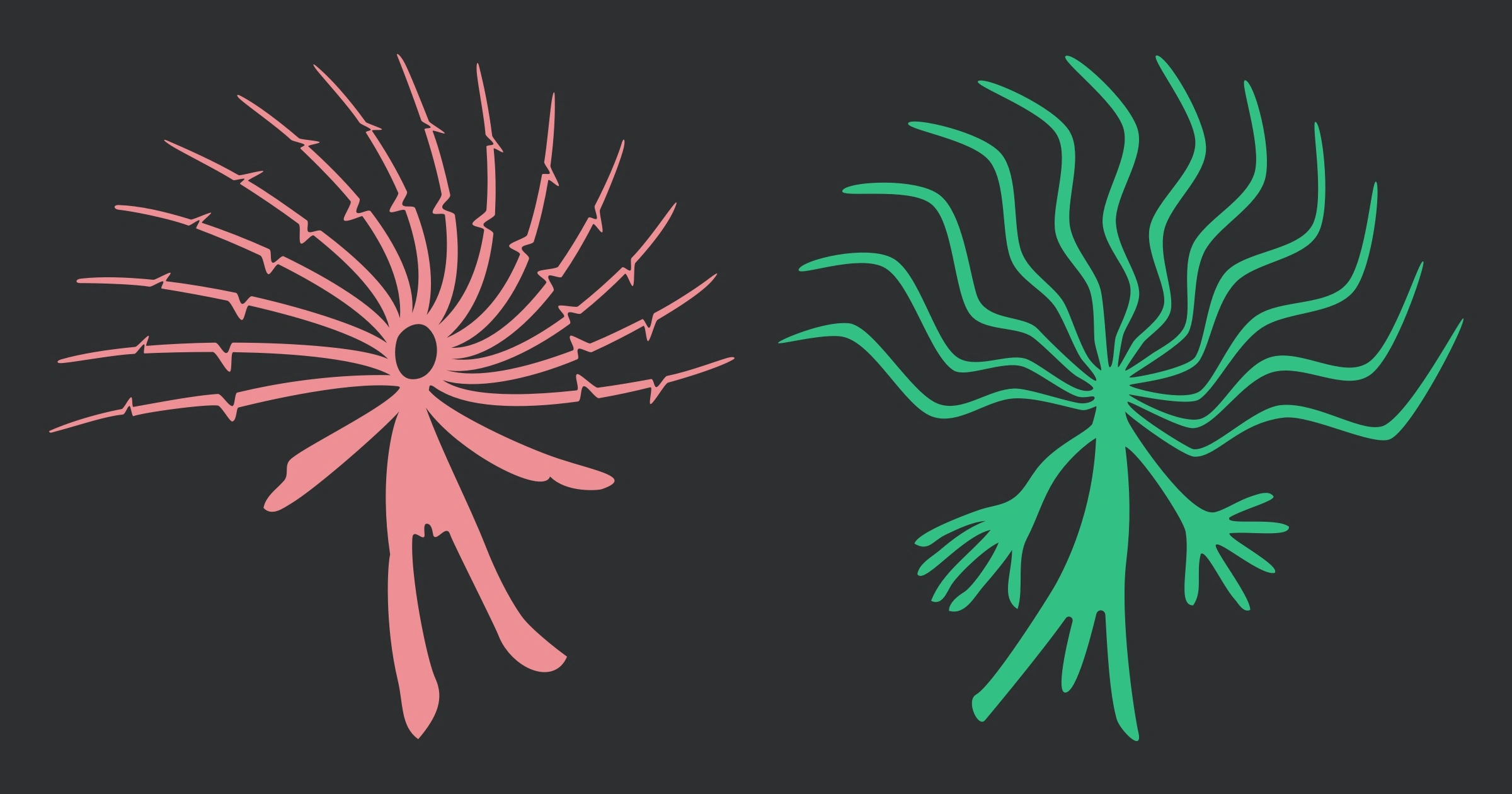 The N'Dhala people calender